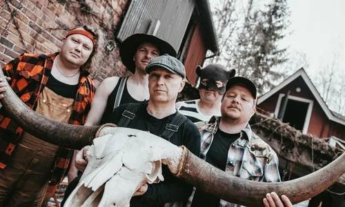 Steve 'n' Seagulls