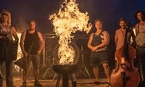 Steve'n'seagulls