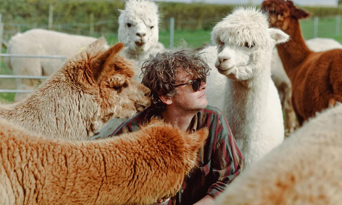 Bill Ryder-Jones