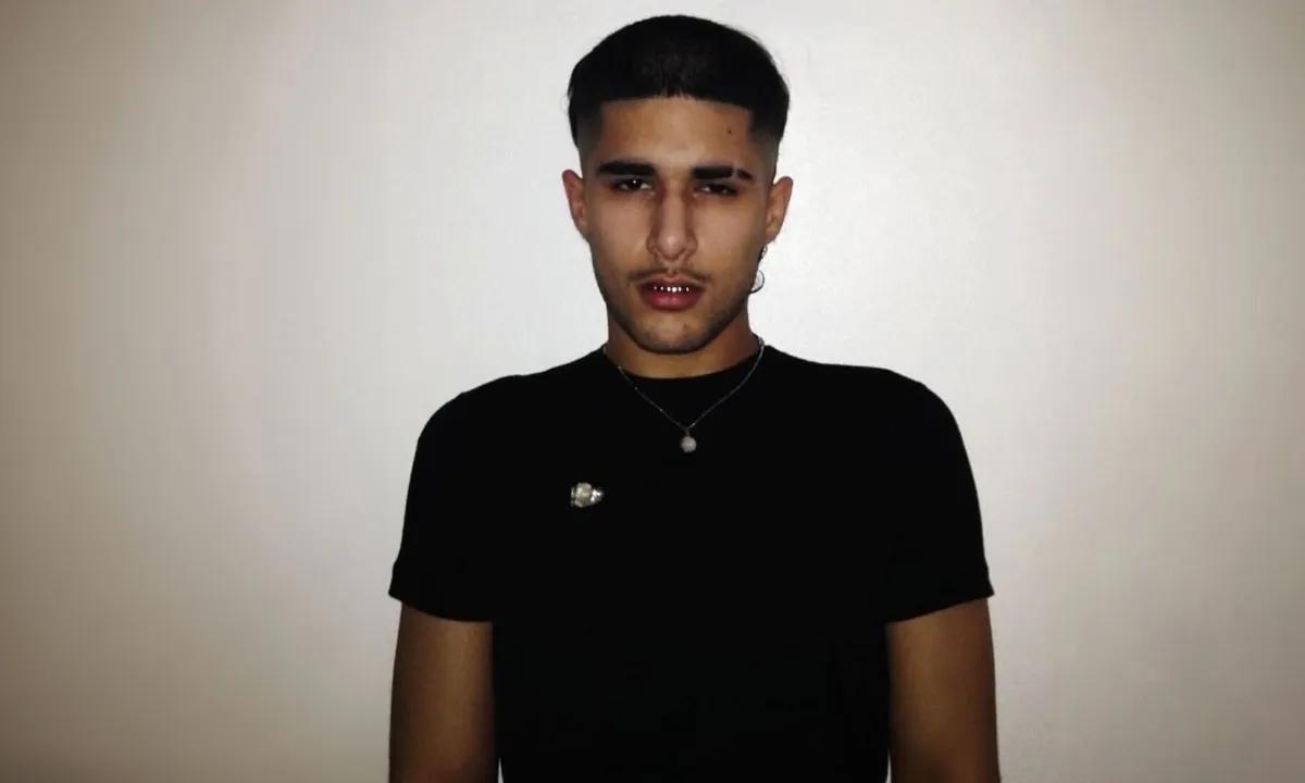 fakemink